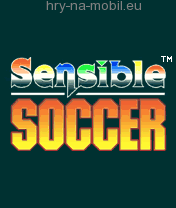 Sensible Soccer, /, 176x208