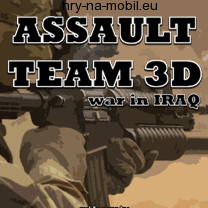 Assault Team 3D, /, 208x208