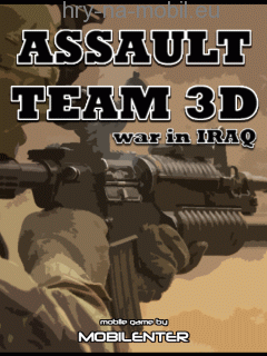 Assault Team 3D, /, 240x320