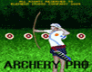 Archery Pro, Hry na mobil - Sportovní - Ikonka